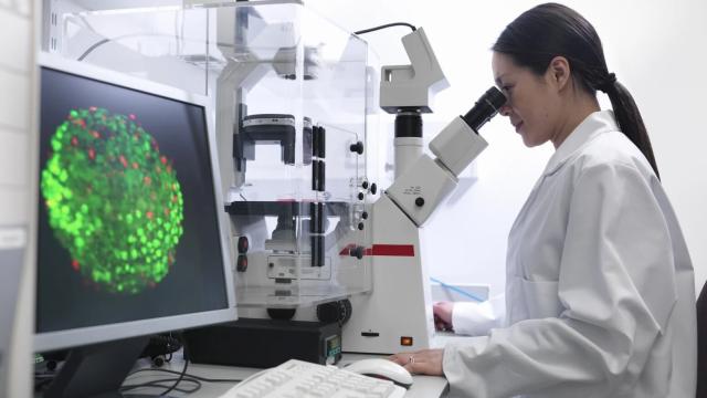 Человеческое тело обновляется каждые 7 лет: почему это глупый миф?