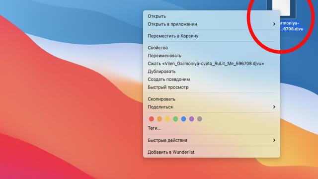 Чем и как открыть формат DjVu: все способы
