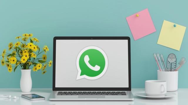 Пользователи WhatsApp смогут звонить через веб-версию мессенджера
