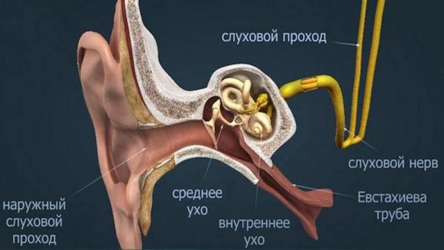 Почему при взлёте закладывает уши или они щелкают. Как с этим бороться