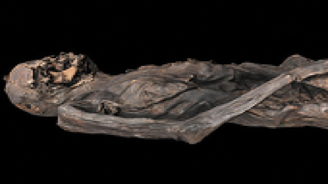 Археологи нашли татуированную мумию в Сибири — орнаментам на ней 2300 лет