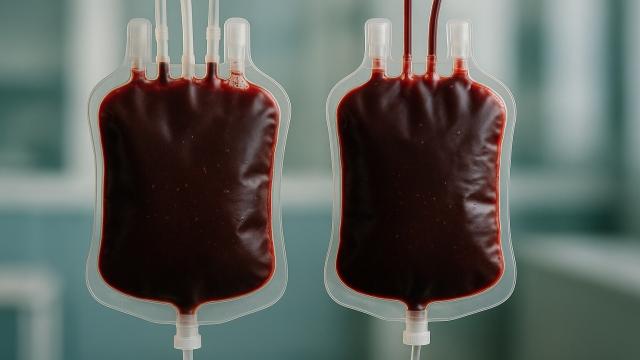 Вампиры были правы: кровь молодых людей может омолодить стариков