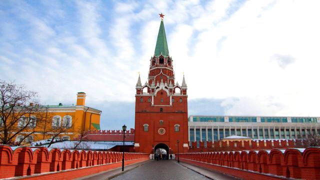 Какой высоты самые большие деревья на Земле: они выше Троицкой башни Кремля