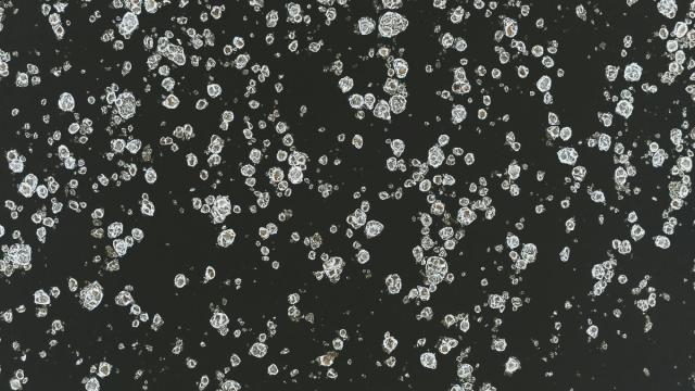 Российские ученые проверили гипотезу об «алмазных дождях» на Уране и Нептуне