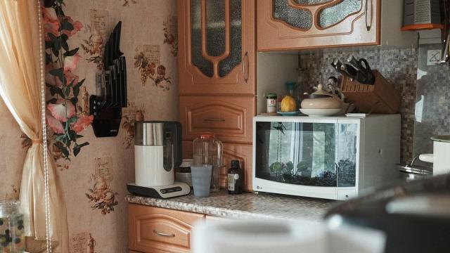 Топ-5 лучших бюджетных микроволновых печей в 2025 году: рейтинг редакции Hi-Tech Mail