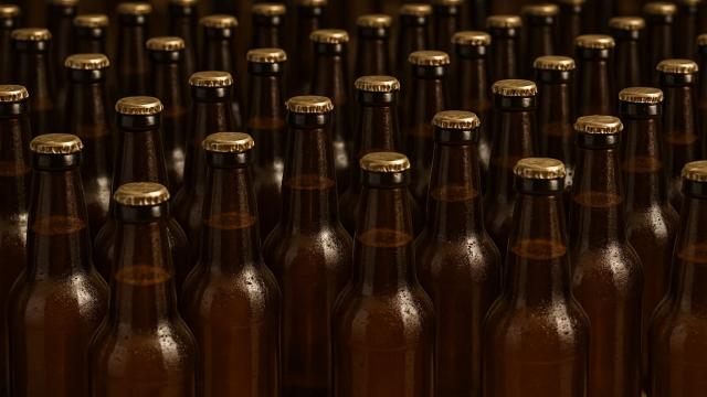 6 причин подорожания пива в России: цены будут расти и дальше?