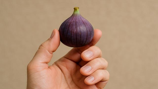 В каждом инжире есть мертвые осы: правда или пугающий миф?