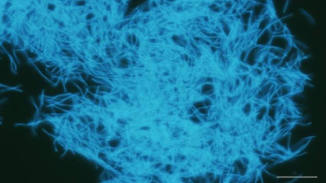 Глубоко под Землей учёные обнаружили гигантскую экосистему: цифры, которые меняют картину мира