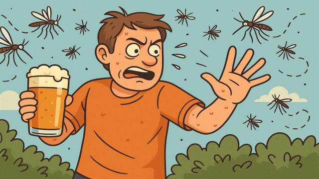 Если выпить пива и заняться сексом, комары кусают нас чаще — новое открытие ученых