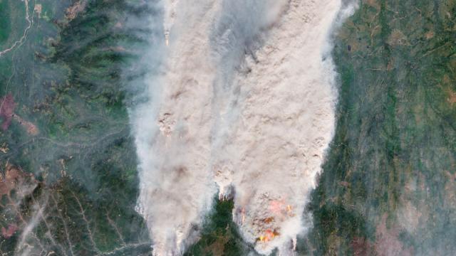 Земля «разучилась» поглощать углерод: вот чем это грозит