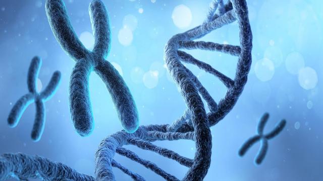 Почему наша ДНК запрограмирована на смерть и что с этим можно сделать: ответ ученых