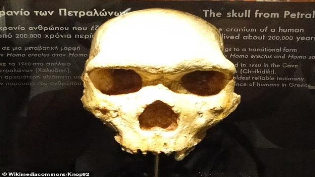 Странный череп человека с рогом удивил ученых: что произошло