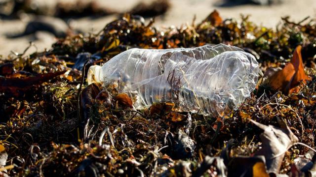 Бактерии оказались «оружием» против пластика