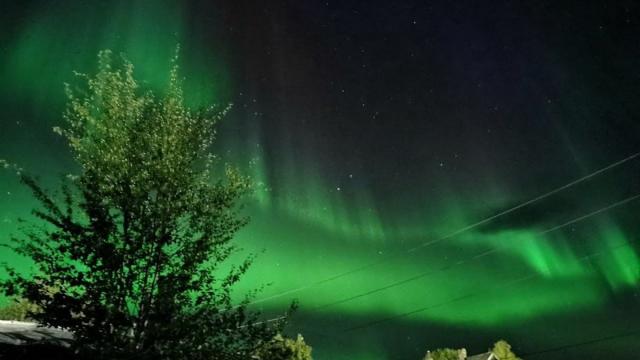 В РАН оценили вероятность полярных сияний в центральной части России