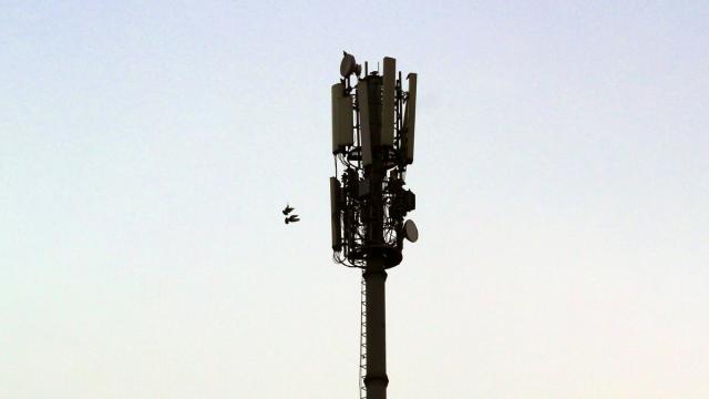 Власти обсуждают новые условия для запуска 5G в России