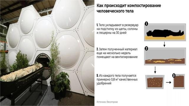 Кремация, гроб или компост? Как выбрать самый экологичный способ похорон