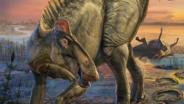 «Мумии» динозавров раскрыли внешний вид ящеров, населявших Землю миллионы лет назад