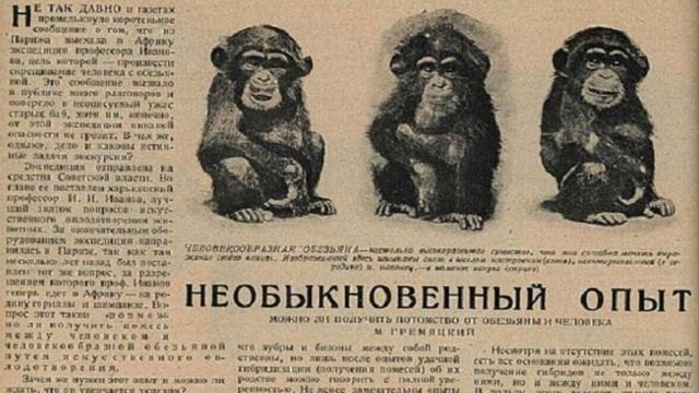 Невероятный эксперимент: как в СССР хотели создать гибрид человека и обезьяны