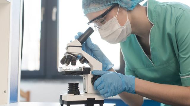 Создан тест для экспресс-диагностики уровня свинца в моче