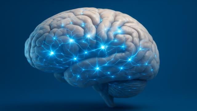 Ученые разработали вакцину от стресса и депрессии