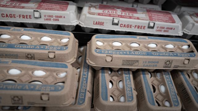 В Китае научились подделывать даже куриные яйца — что это вообще такое?