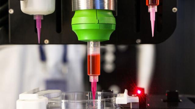 В России разработают ГОСТ по биопечати