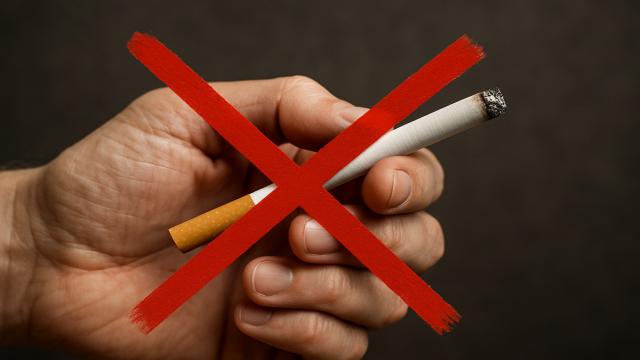 В этой стране нельзя курить всем, кто родился после 2007 года