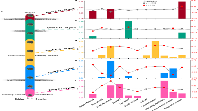 Почему подростковый возраст длится до 32 лет и когда наступает взрослость