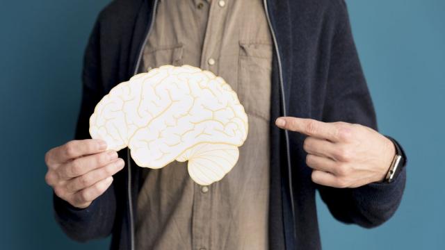 Ученые впервые раскрыли суть человеческого интеллекта