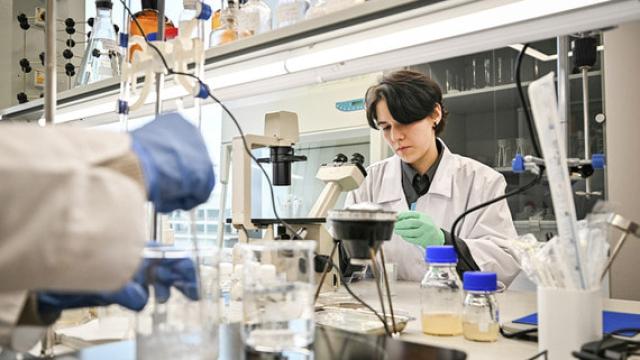 Эволюция завлабов