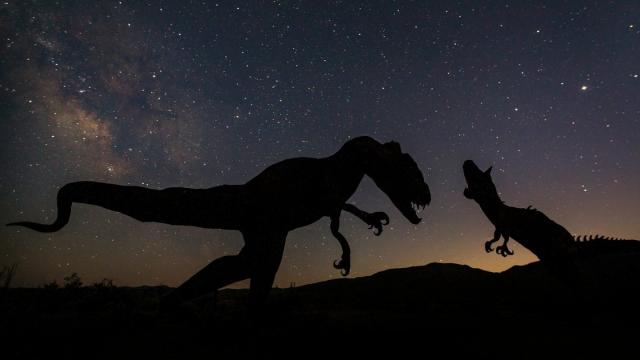 Эта древняя форма жизни пережила динозавров и может пережить нас