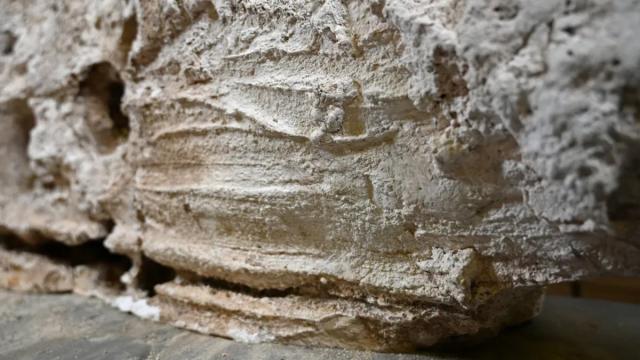 Археологи раскрыли тайну загадочного погребального ритуала древних римлян