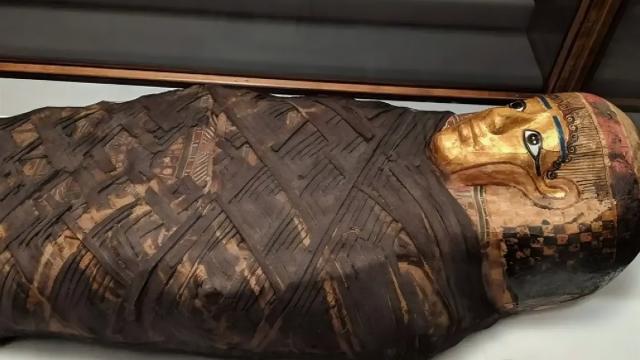 Как выглядела «Позолоченная дама»: реалистичное фото египтянки, жившей 1500 лет назад