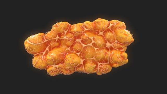 Какой белок позволит бороться с лишним весом и диабетом без лишнего труда