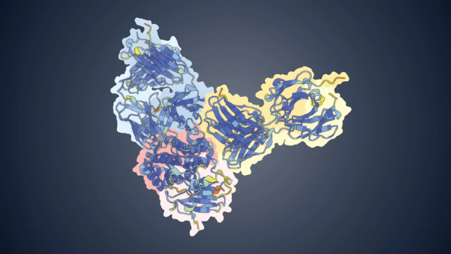 Нейросеть обнаружила слабое место в опасном вирусе