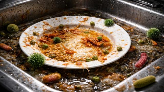 Почему нельзя оставлять посуду в раковине на ночь