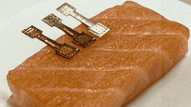 Придумано компактное устройство для определения свежести рыбы за пару минут