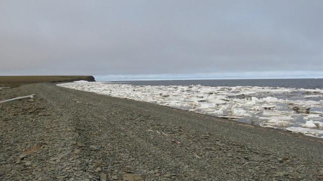 Российские ученые изучили шельф моря Лаптевых: что они выяснили