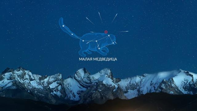 Урсиды 2025: когда и как увидеть последний звездопад года