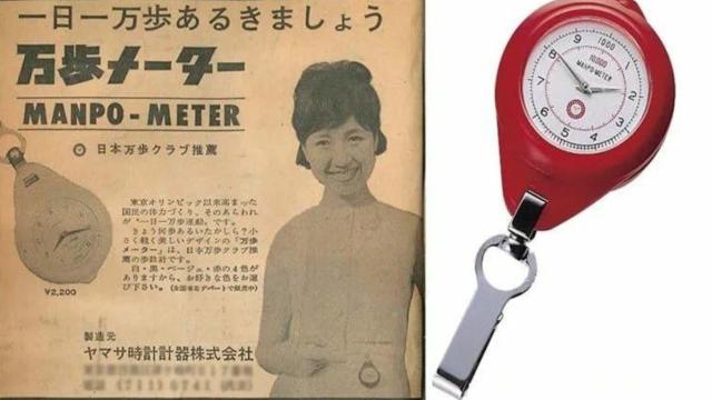 Что лучше: одна долгая прогулка, или много коротких?