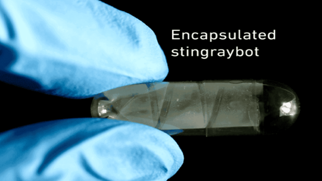 Эти миниатюрные роботы с мышцами из микропузырьков могут избавить нас от операций