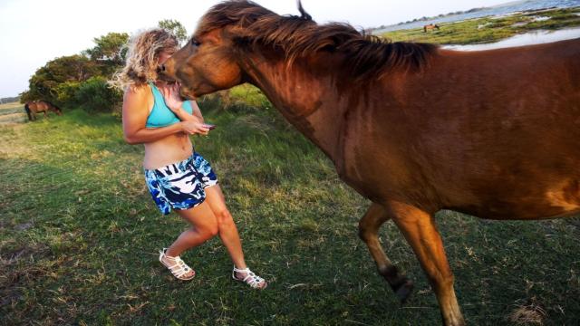 Животные чувствуют ваш страх: научные факты, которые удивляют