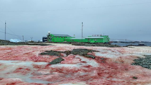 Какого цвета снег на самом деле? Все это время мы ошибались