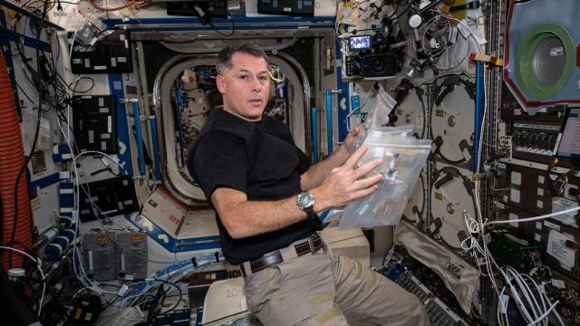 Космонавтов решили поселить в микробных «городах»