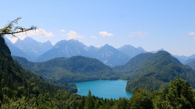 Озерам нужны харофиты: ученые указали путь спасения пресноводных водоемов
