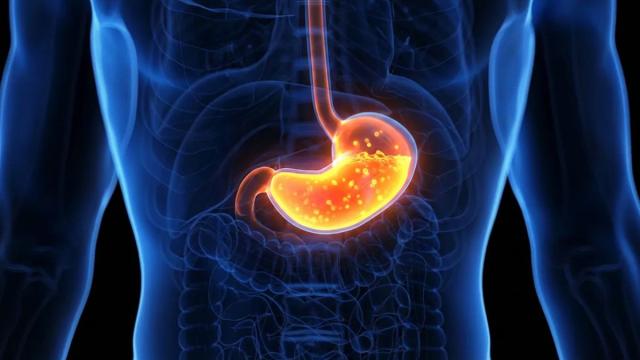 Почему кислый желудочный сок не прожигает наш желудок? Ученые раскрыли правду