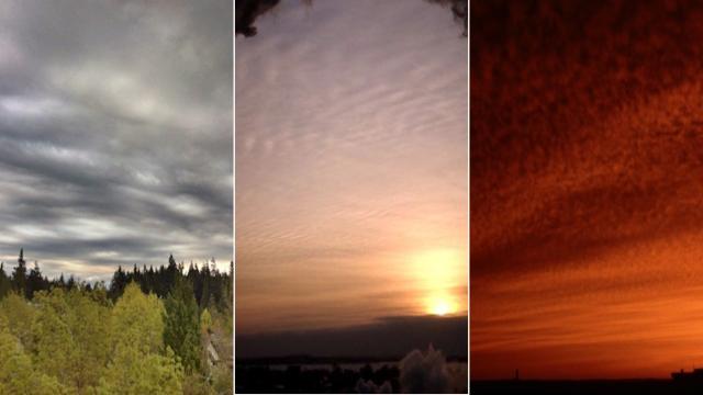 Почему облака бывают разной формы и как они предсказывают погоду