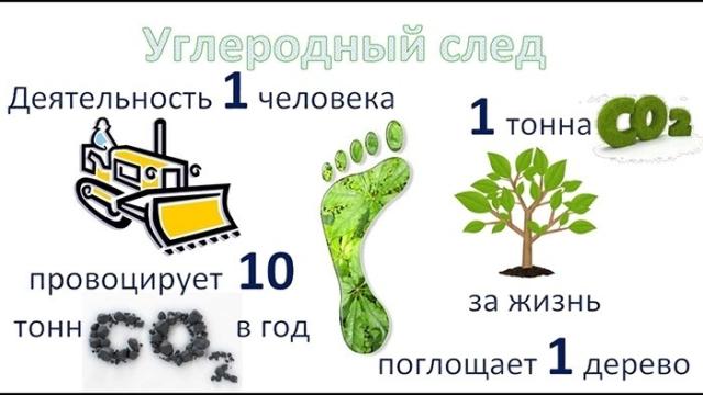 Невидимый углеродный след: сколько CO₂ вы выбрасываете каждый день, даже не замечая