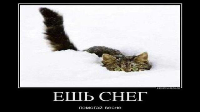 Почему в феврале самые сильные морозы, хотя день уже становится длиннее