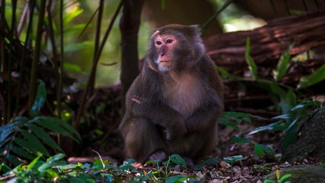 Почему мы чувствуем себя разбитыми после долгого сна? Дело не в лени